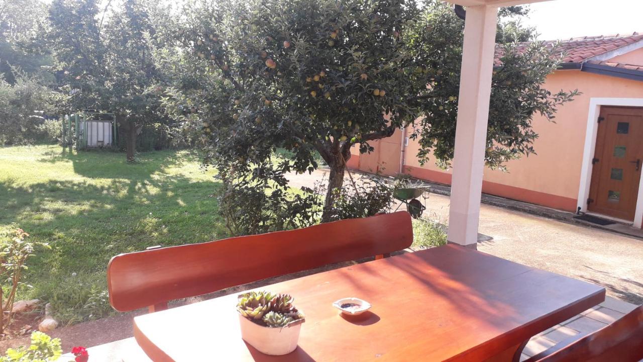 Apartman Lena Umag Buitenkant foto