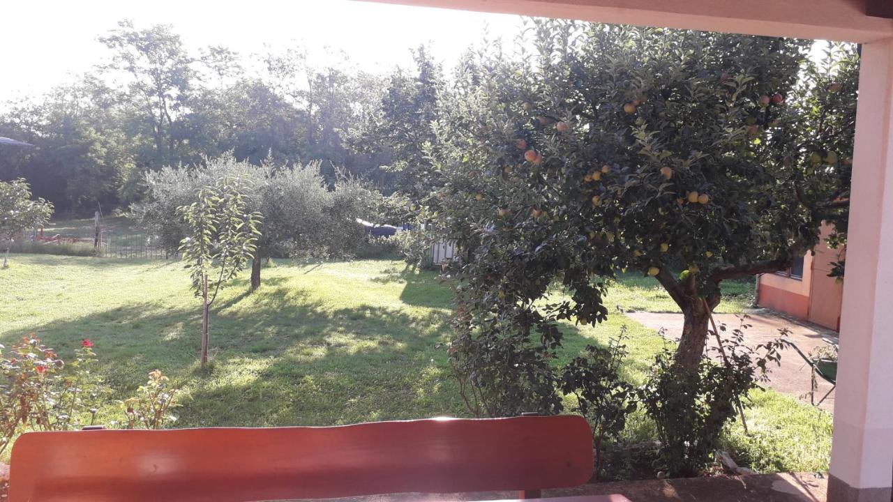 Apartman Lena Umag Buitenkant foto