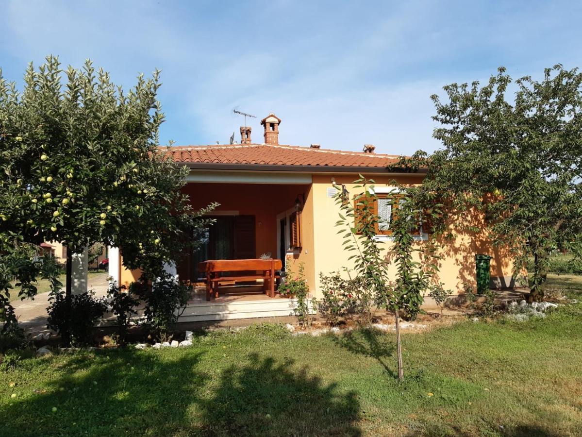 Apartman Lena Umag Buitenkant foto