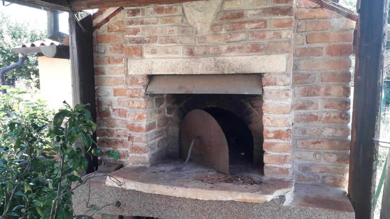 Apartman Lena Umag Buitenkant foto